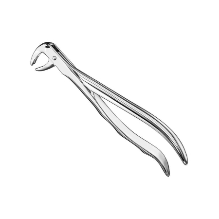Extracting forceps, engl